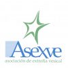 XVII Convivencia Asexve Castilla la Mancha- Casona del Pinar (San Rafael)- Segovia